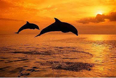 E3 2021：独立游戏展所有游戏汇总 12款各具特色的作品