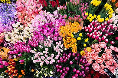 独立游戏蓬勃发展 开发商诉苦开发成本正在急剧增加